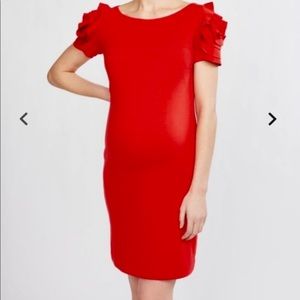 Pietro Brunelli Maternity Salisburgo Rose Dress